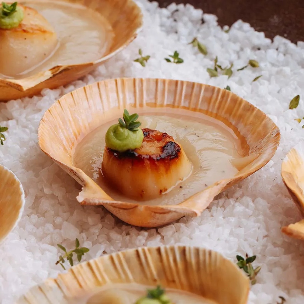 Receita de Vieiras Servidas na Concha com Vichyssoise