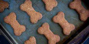 Biscoito Canino de Legumes