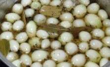 Cebola em Conserva