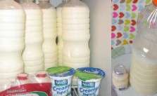 Yakult Caseiro