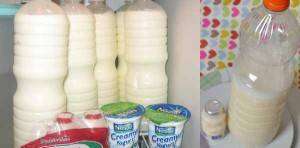 Yakult Caseiro