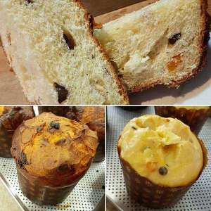 Como Fazer Panetone Para Vender