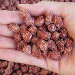 Amendoim Doce Simples