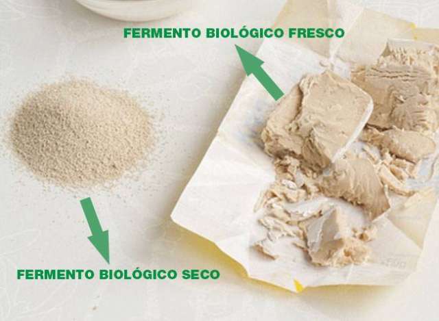Como Substituir o Fermento Biológico SECO X FRESCO - Comidinhas do Chef