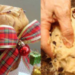 Como fazer o melhor Panetone caseiro para brilhar no Réveillon!