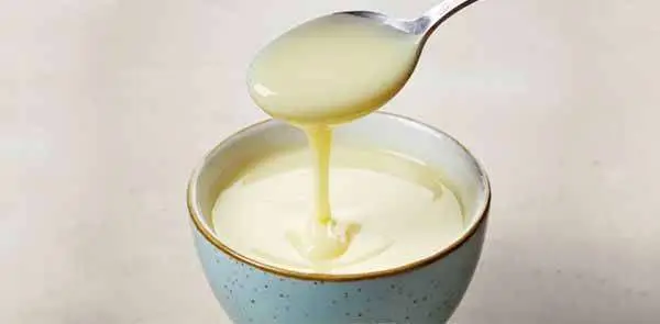 Leite Condensado Caseiro Diet e Light