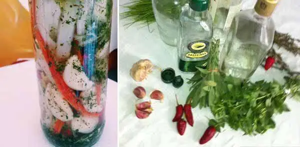 Receita de Óleo Temperado
