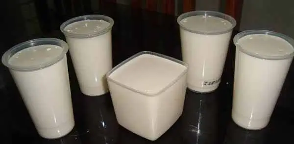 Requeijão Caseiro de Liquidificador