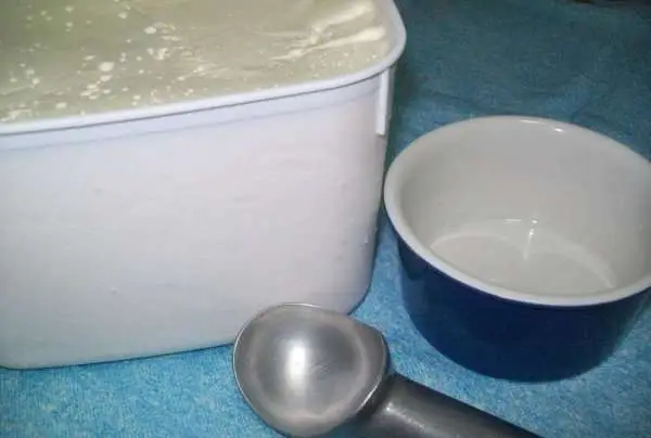 Como Fazer Sorvete de Leite Condensado