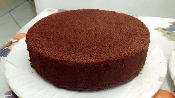 Receita de Pão de Ló de Chocolate Perfeito