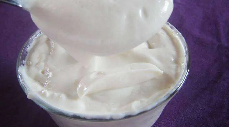 Como Fazer Creme de Leite em Casa Sem Gordura
