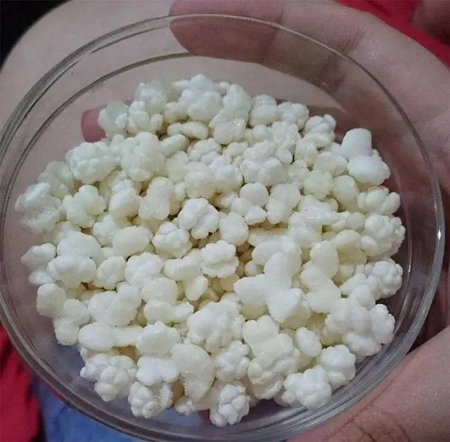 Pipoca de Sagu