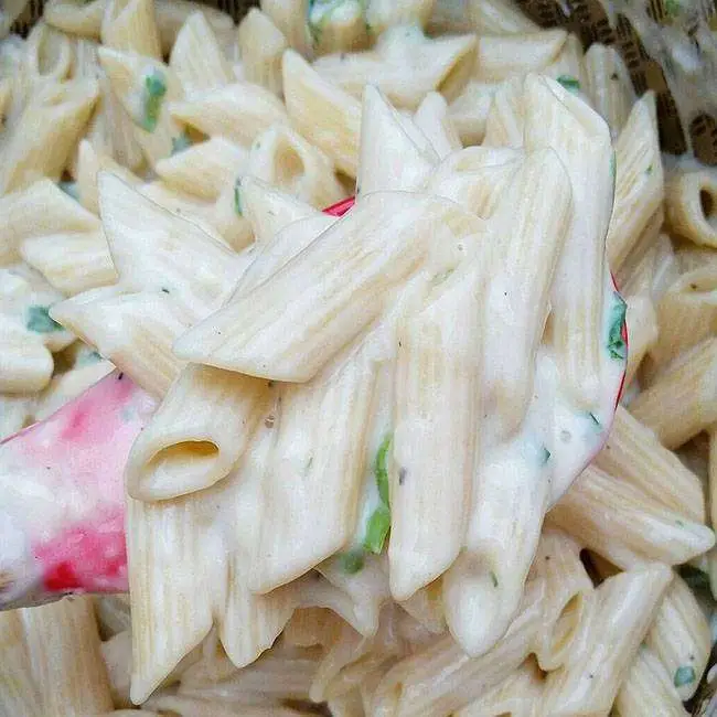 Penne ao Molho Branco