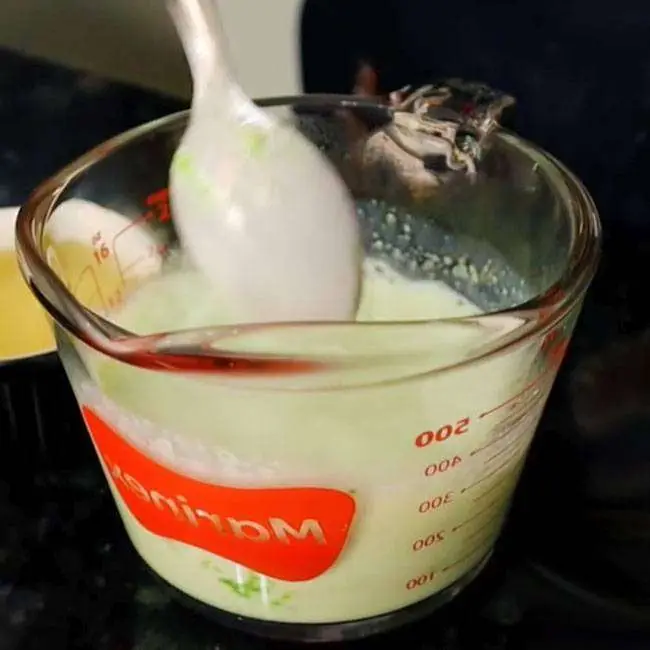 Bolo Verde de Limão com Gelatina e Iogurte - Passo 1